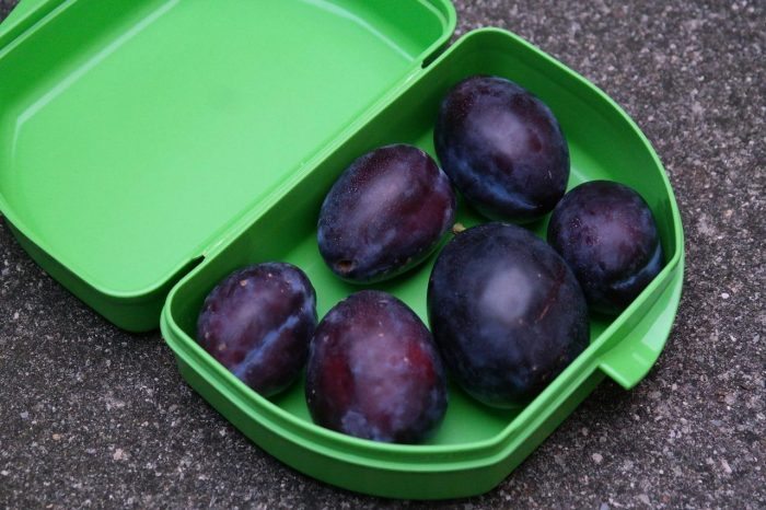 Fresh fruit doesn’t need to be refrigerated: keep it in your desk drawer for a burglar-proof snack!